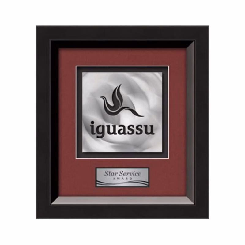 Omni Aquashape™ Award - Black/Black