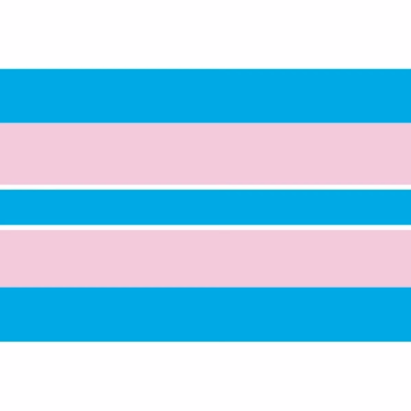 Transgender Antenna Flag