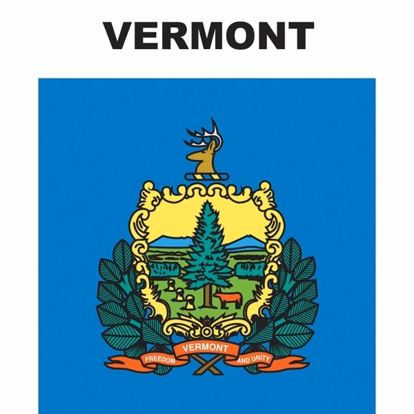 Mini Banner - Vermont