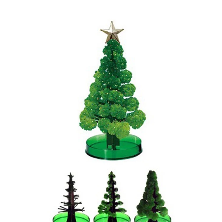 Magic Paper Growing Tree 1