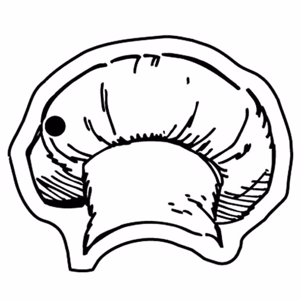 Chef Hat Key Tag - Spot Color