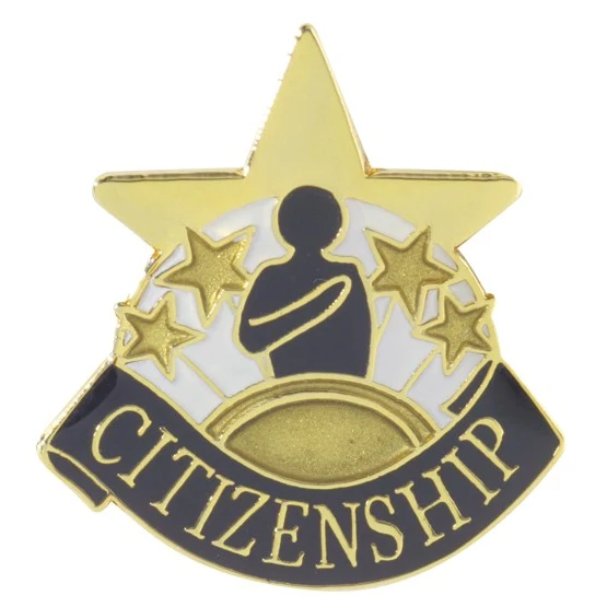 Citizenship Academic Achievement Pin 1