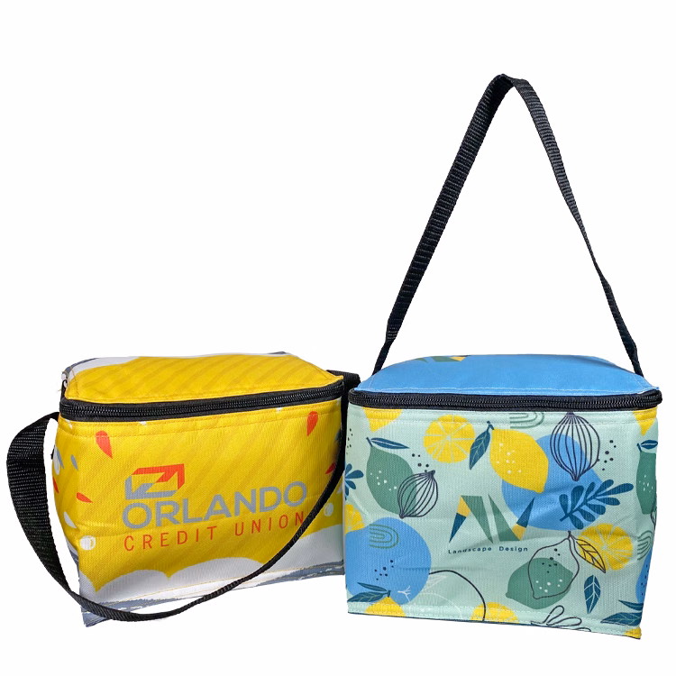 Full Color 6 Can Cooler with Foil Insulation