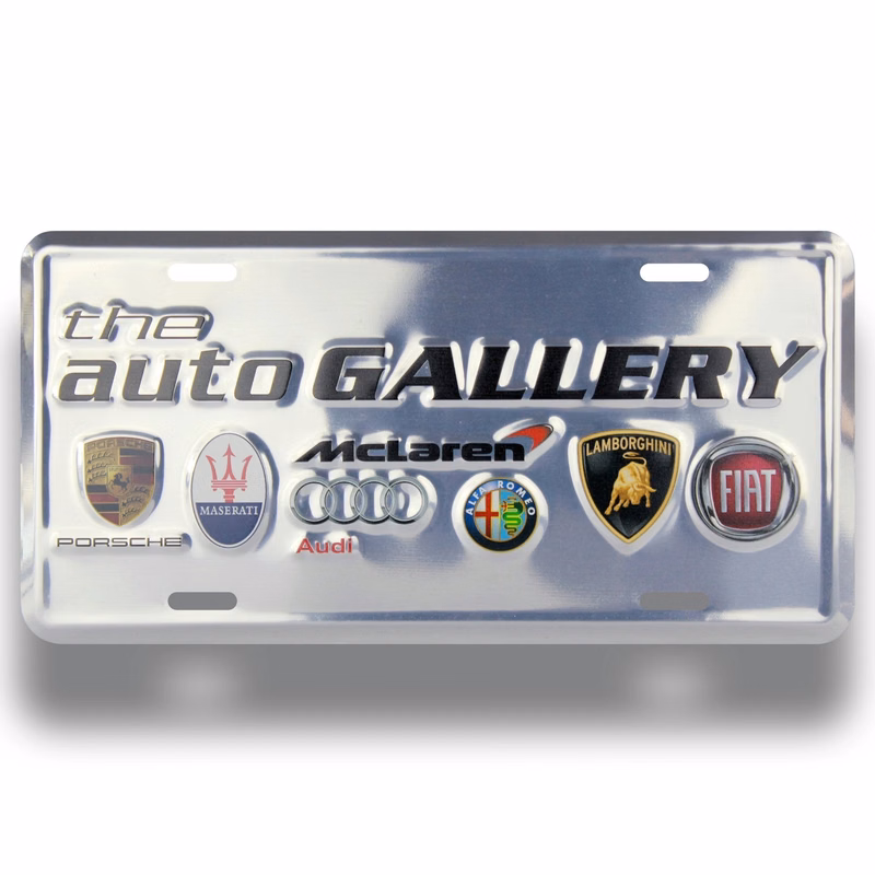 Silver Deluxe Embossed License Plate