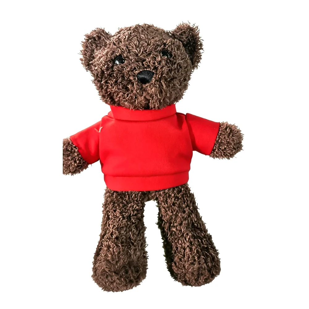 Plush Bear With Shirt 1