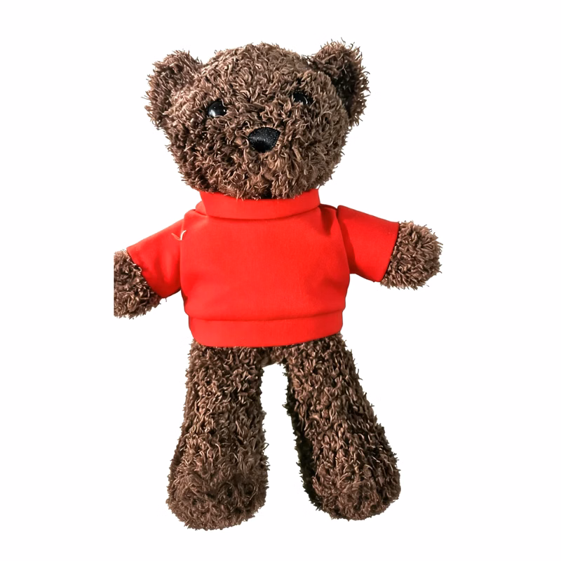Plush Bear With Shirt