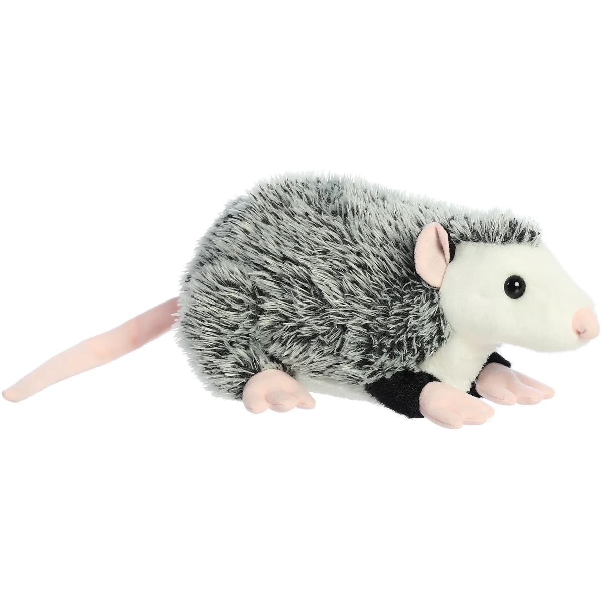 12" Opossum 1