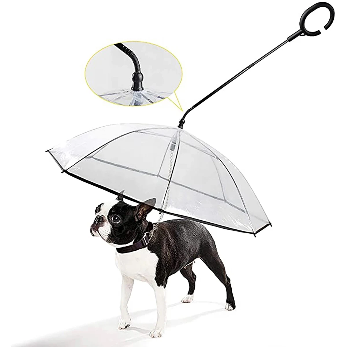 Pet Umbrella 1