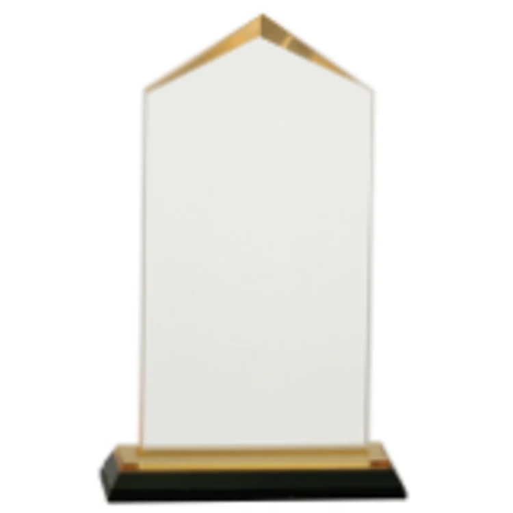 7.5" Gold Jewell Impress Acrylic Award 1