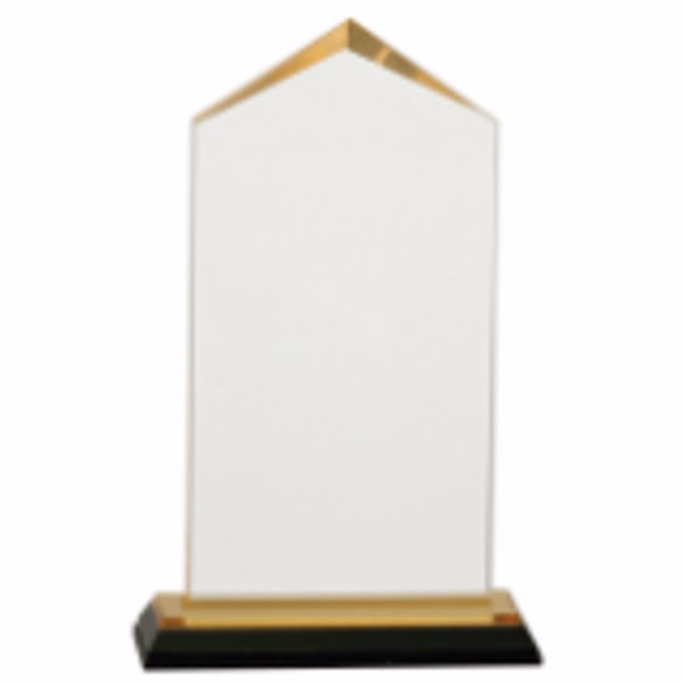 7.5" Gold Jewell Impress Acrylic Award