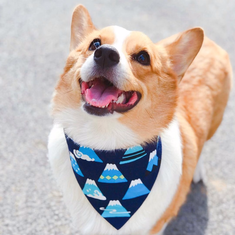 Dog animal pet bandanna is made of 100% cotton