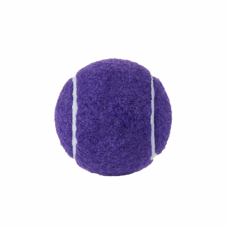 Pet Tennis Ball 2.5" Diameter For Fetch Training