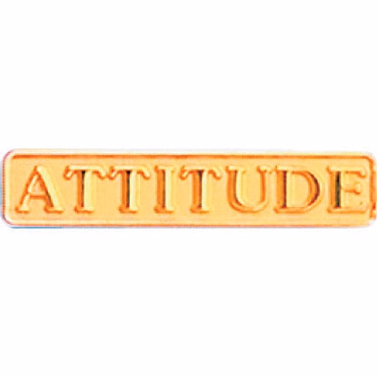 Bright Gold Attitude Service Lapel Pin