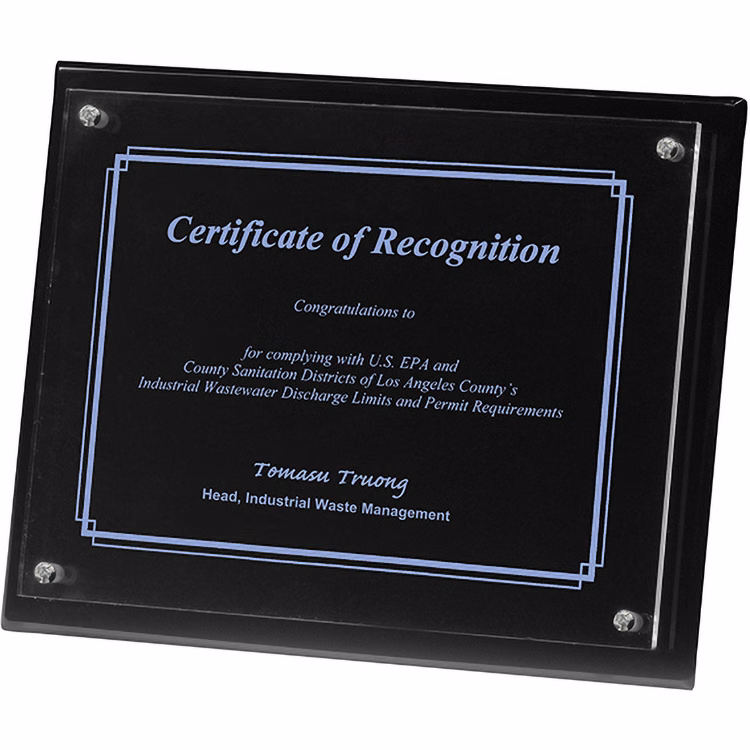 2 Panel Black Radiant Plaque (8"x 10"x 3/4") Screen-Printed