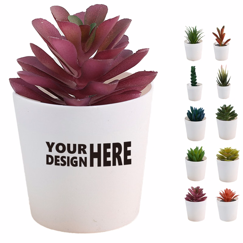 Mini Succulent Potted Plant Set for Home Decor