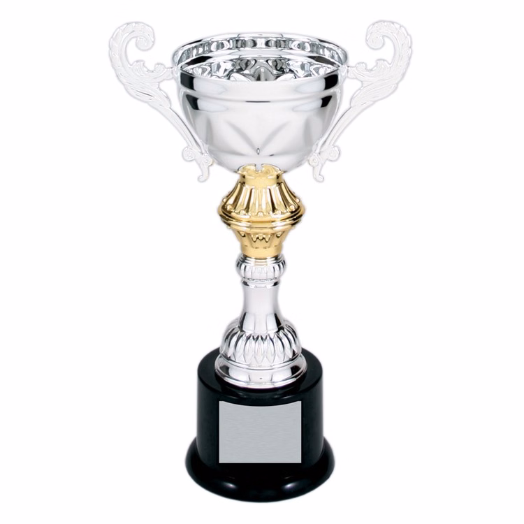 13" Tall Silver Metal Cup Trophy