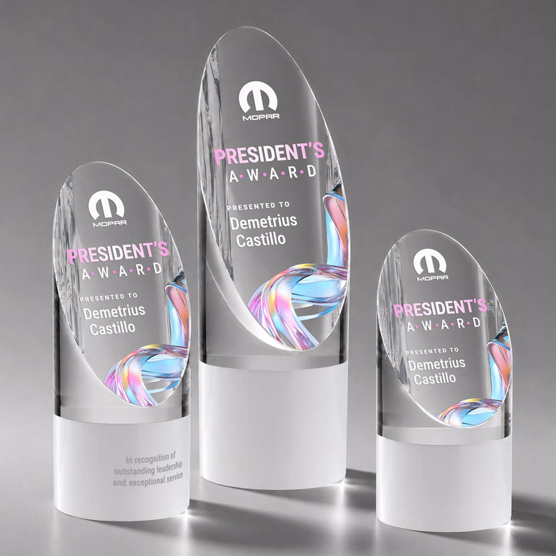 Faccini VividPrint™ Award