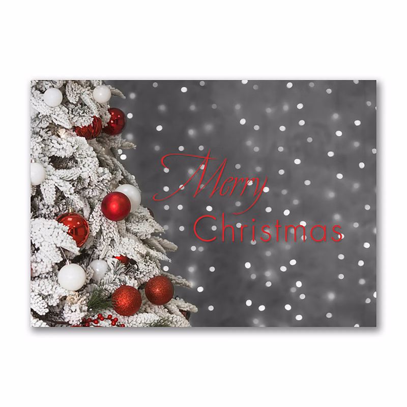Pop of Red Economy Holiday Card