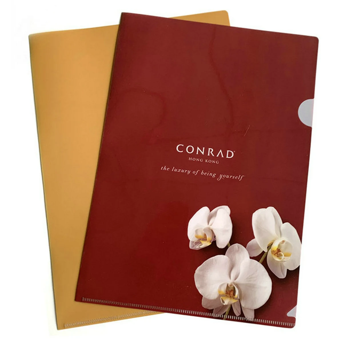 Clear Transparent L Shape Document Folder 1