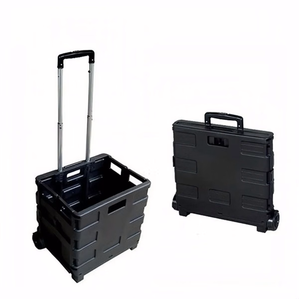 Folding Cart