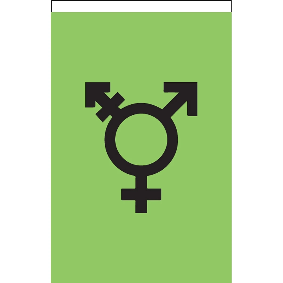 Israel Trans Deluxe Garden Flag 1