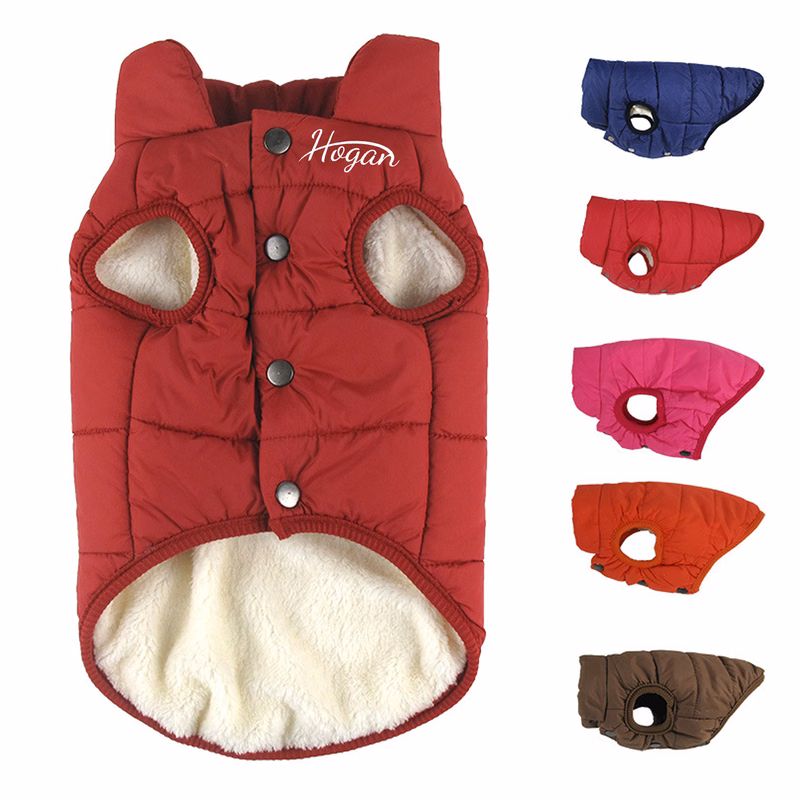 Pet Vest