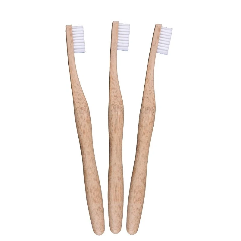 Eco Bamboo Toothbrush with case 1