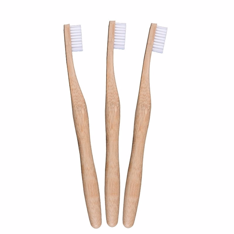 Eco Bamboo Toothbrush with case