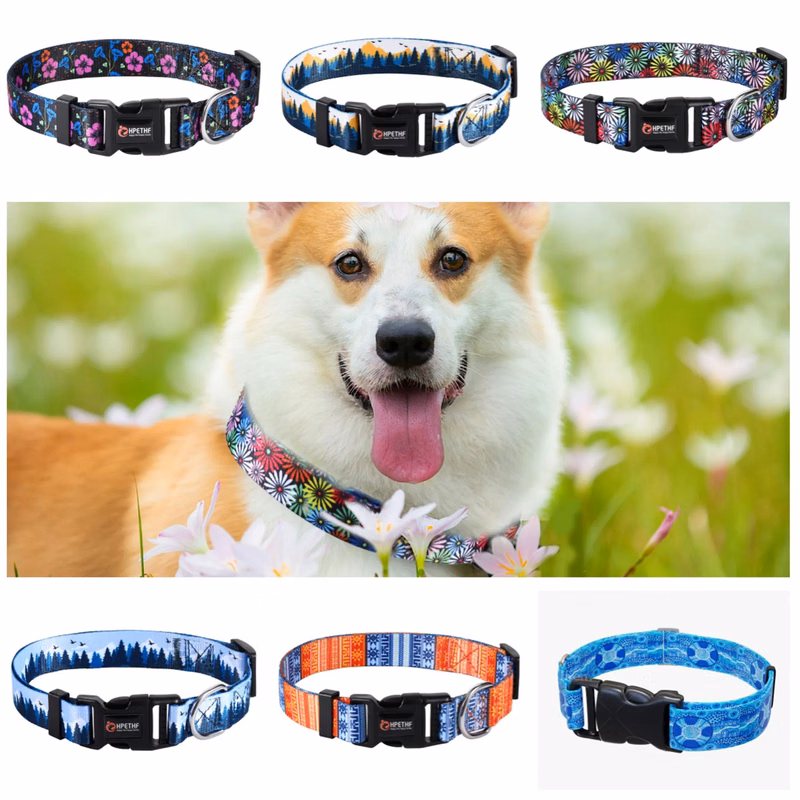 Customized Adjustable Dog Collar
