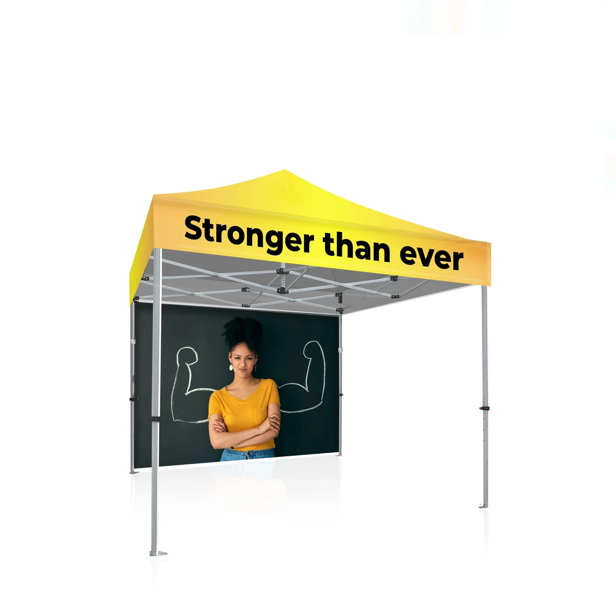 10x10 Platinum LifeTime Tent Full Color Canopy and Backwall 1