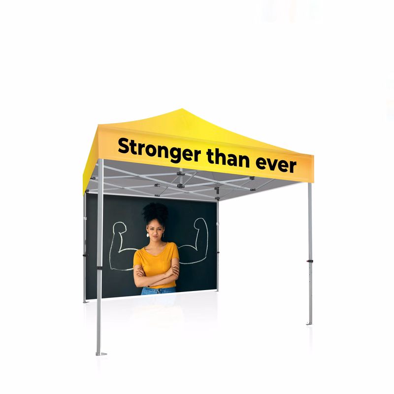 10x10 Platinum LifeTime Tent Full Color Canopy and Backwall