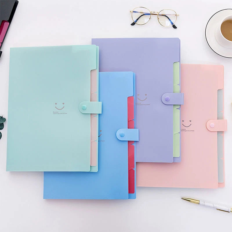 Colored Expanding File Folder 1