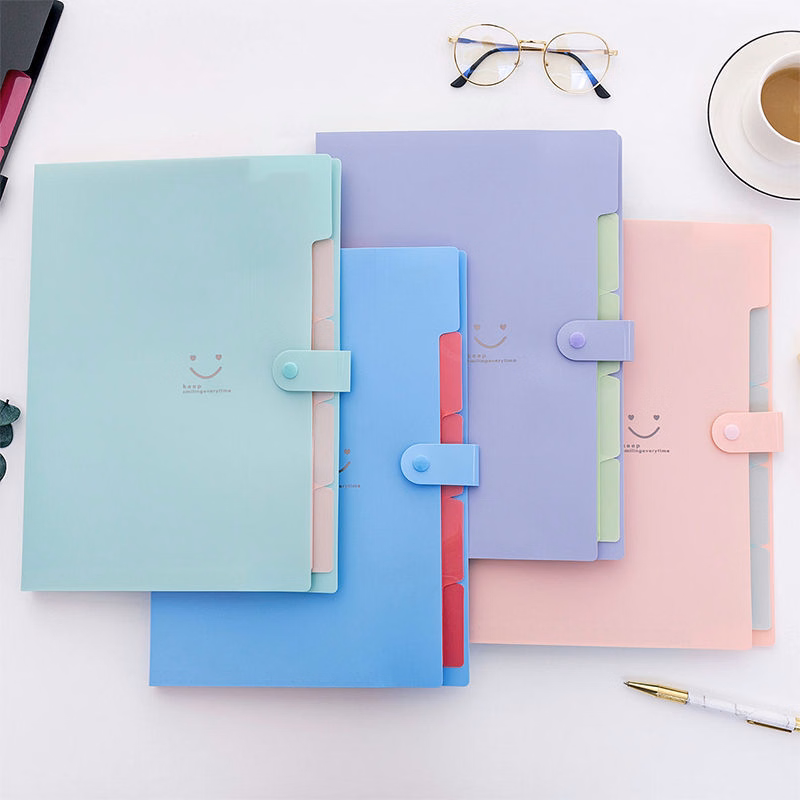 Colored Expanding File Folder