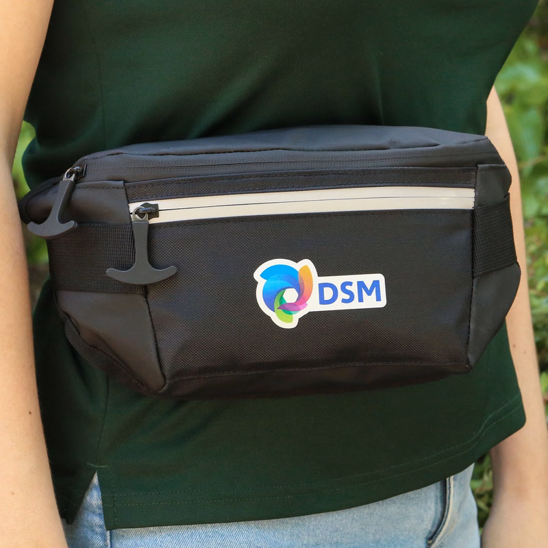 Glacier Peak Waist Pack