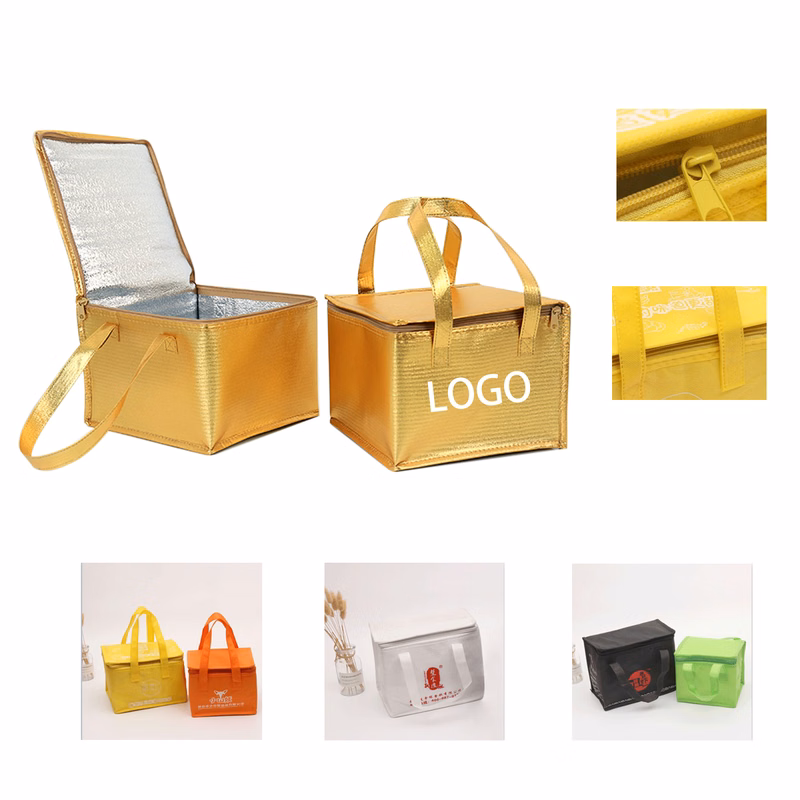 10 Inch Non Woven Insulated Cooler Outdoor Lunch Bag With Handle