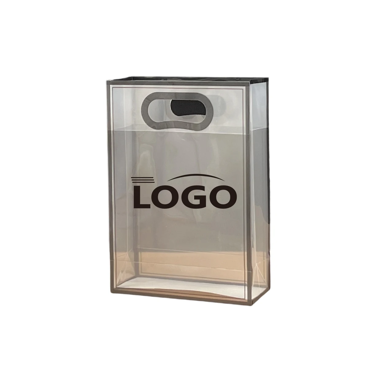 Frosted Transparent Polypropylene Carry Bag 1