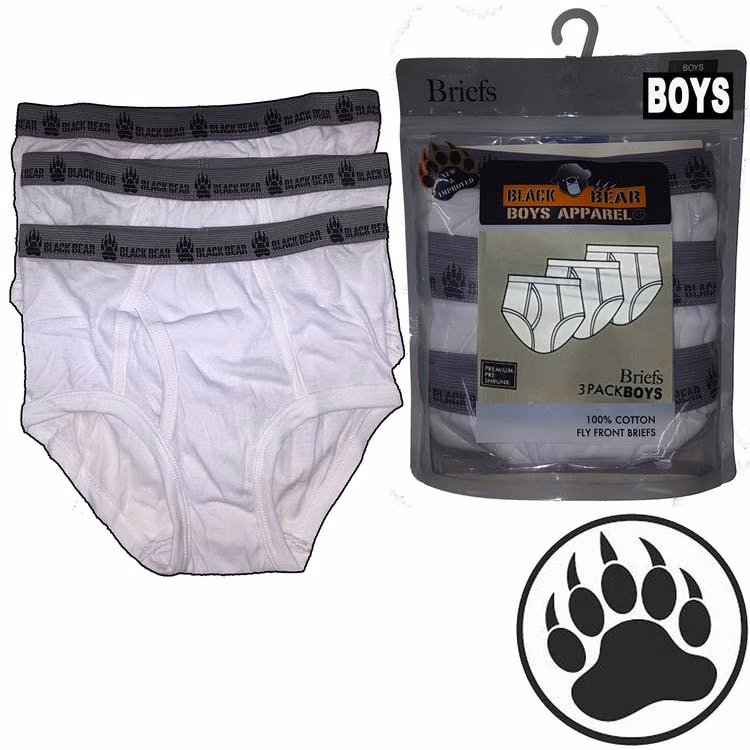 Toddler Boys' Fly Front Briefs - 4T White 3 Pack
