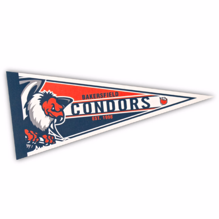 8" x 18" Full Color Felt Pennant, No Strip