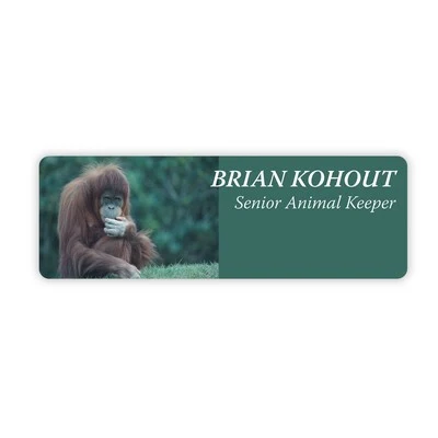 Rectangular Nameplate w/Rounded Corners (3"X9") Rectangle 1