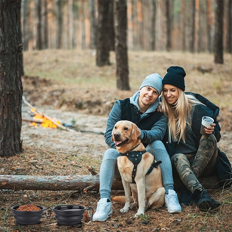 Black collapsible dog bowls