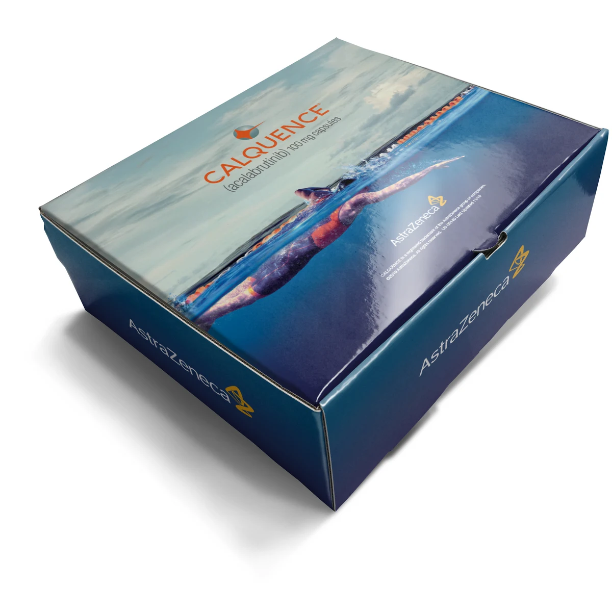 Presentation & Mailer Box *Full Color & High Gloss Finish* 11" x 9" x 4" 1