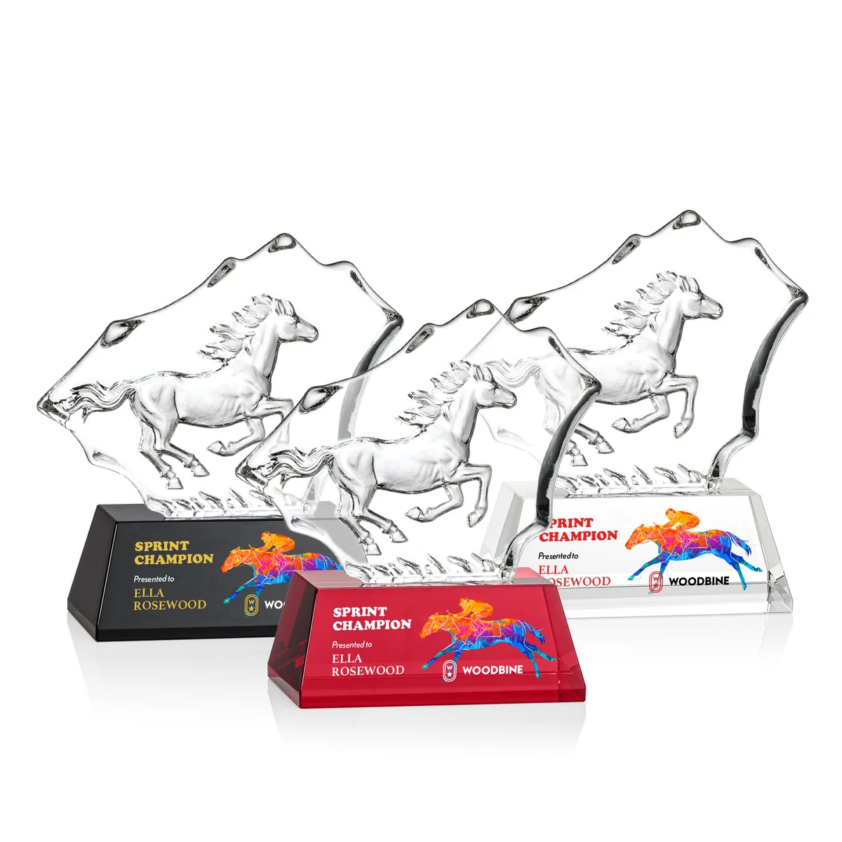 Ottavia Horse VividPrint™ Award 1