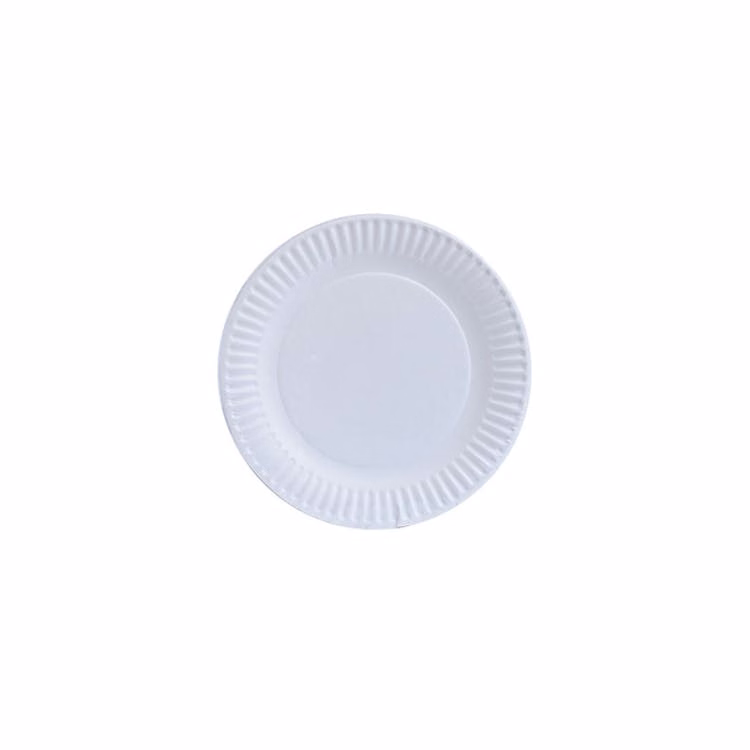 Paper Plates - White 6 Inch 100 Pack