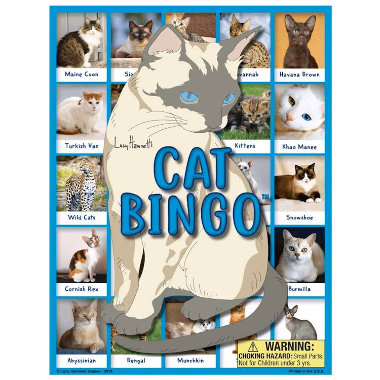 Cat Bingo Game
