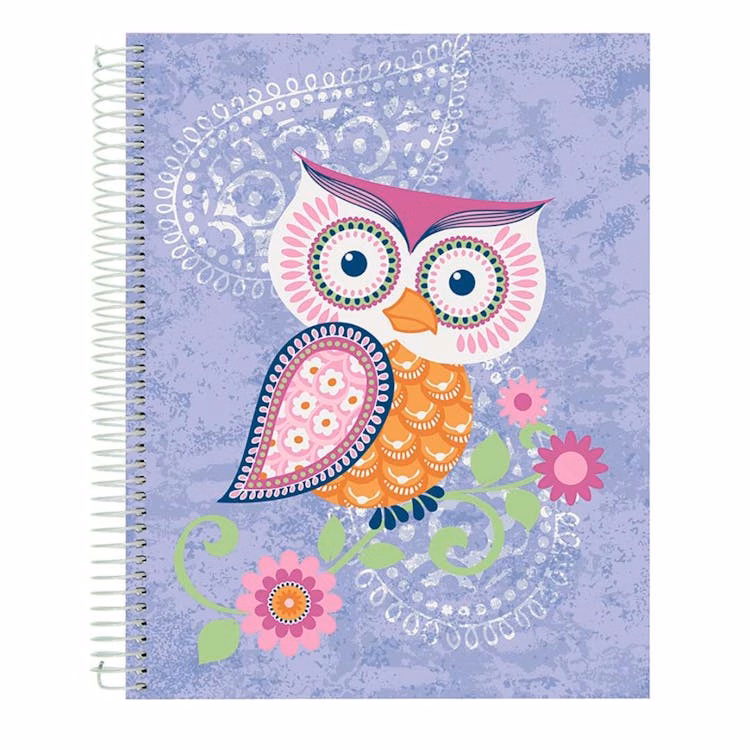 Flying Beauties Journal Notebooks Assorted