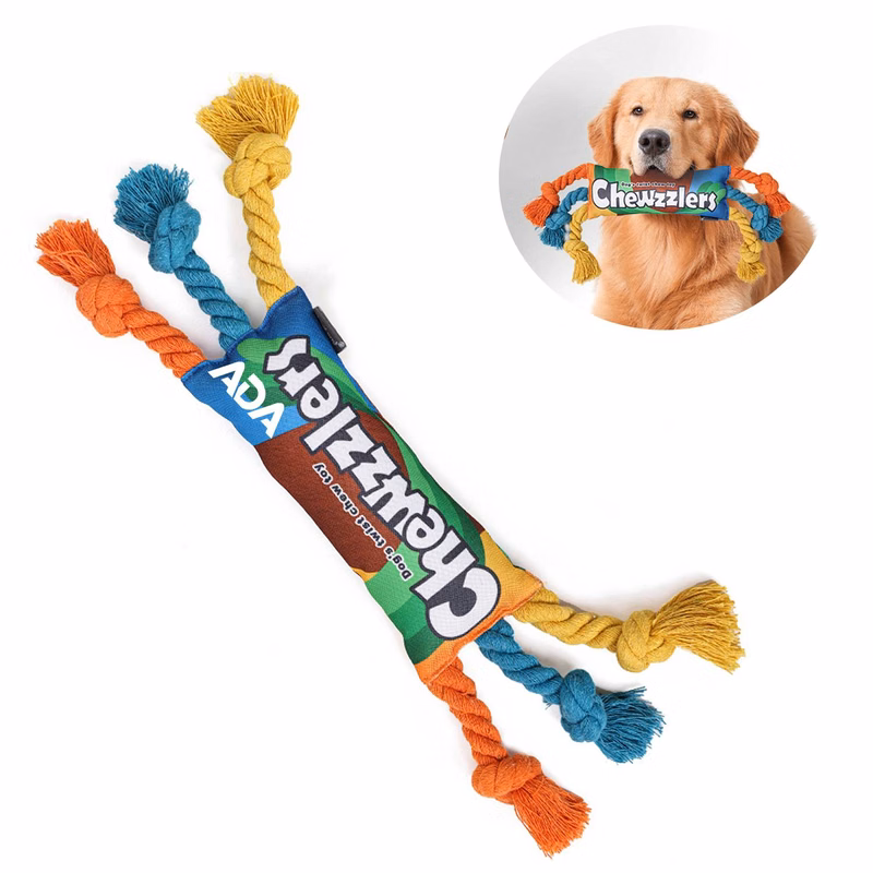 Squeaky Rainbow Twist Pet Chew Toy