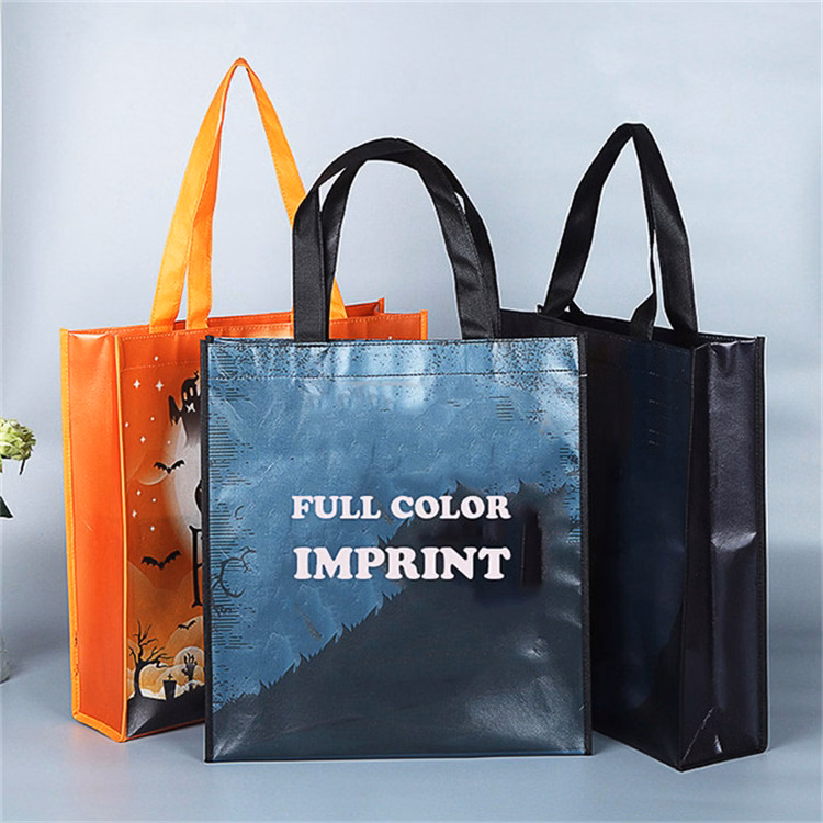 PP woven laminated Bag