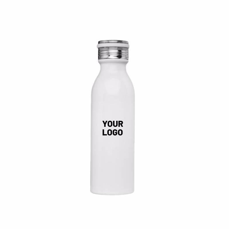 Echo Stainless Steel Water Bottle, 20 oz.