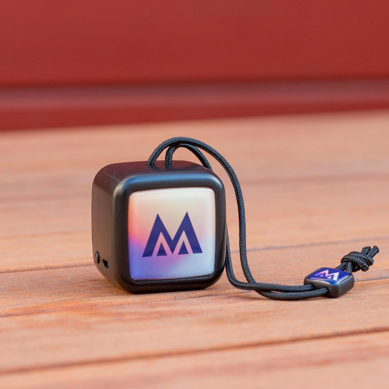 Chyrp Portable Mini Speaker