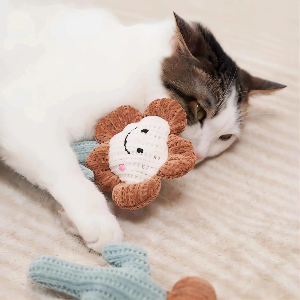 Cat Mint Toys 1
